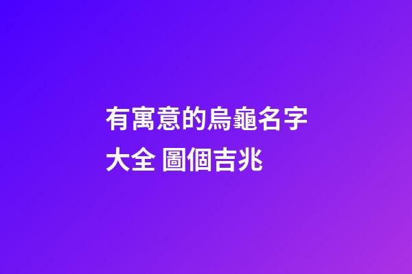 有寓意的烏龜名字大全 圖個吉兆